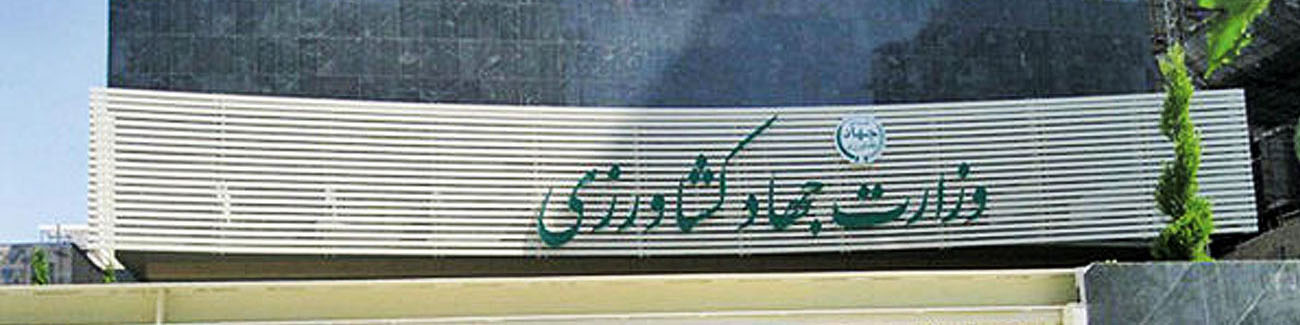 افزایش قیمت خرید تضمینی چغندرقند در سال زراعی جاری